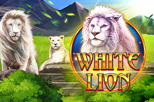 white lion